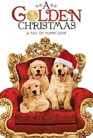 A Golden Christmas (2009)