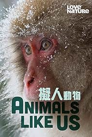 Animals Like Us (2023) 2024