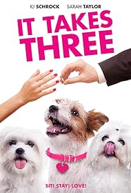 It Takes Three (2019)