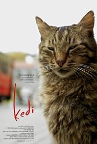 Kedi (2017)