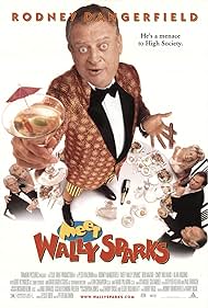 Meet Wally Sparks (1997)