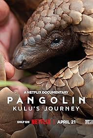 Pangolin: Kulu's Journey (2025)
