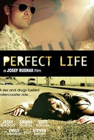 Perfect Life (2010)