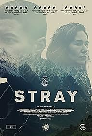 Stray (2018)