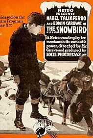 The Snowbird (1916)