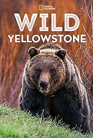 Wild Yellowstone (2015)