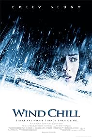 Wind Chill (2007)